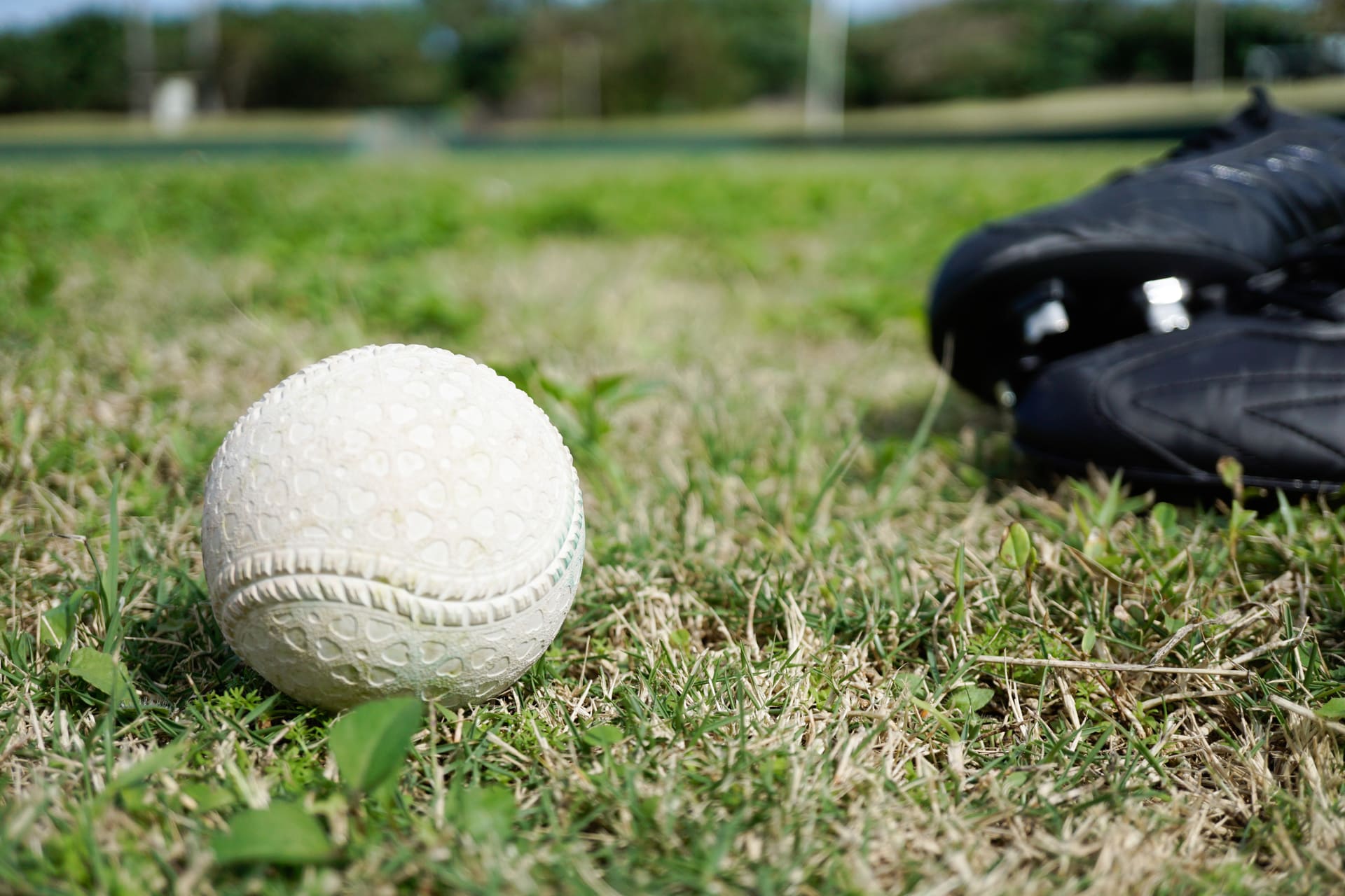 AdobeStock_93677495